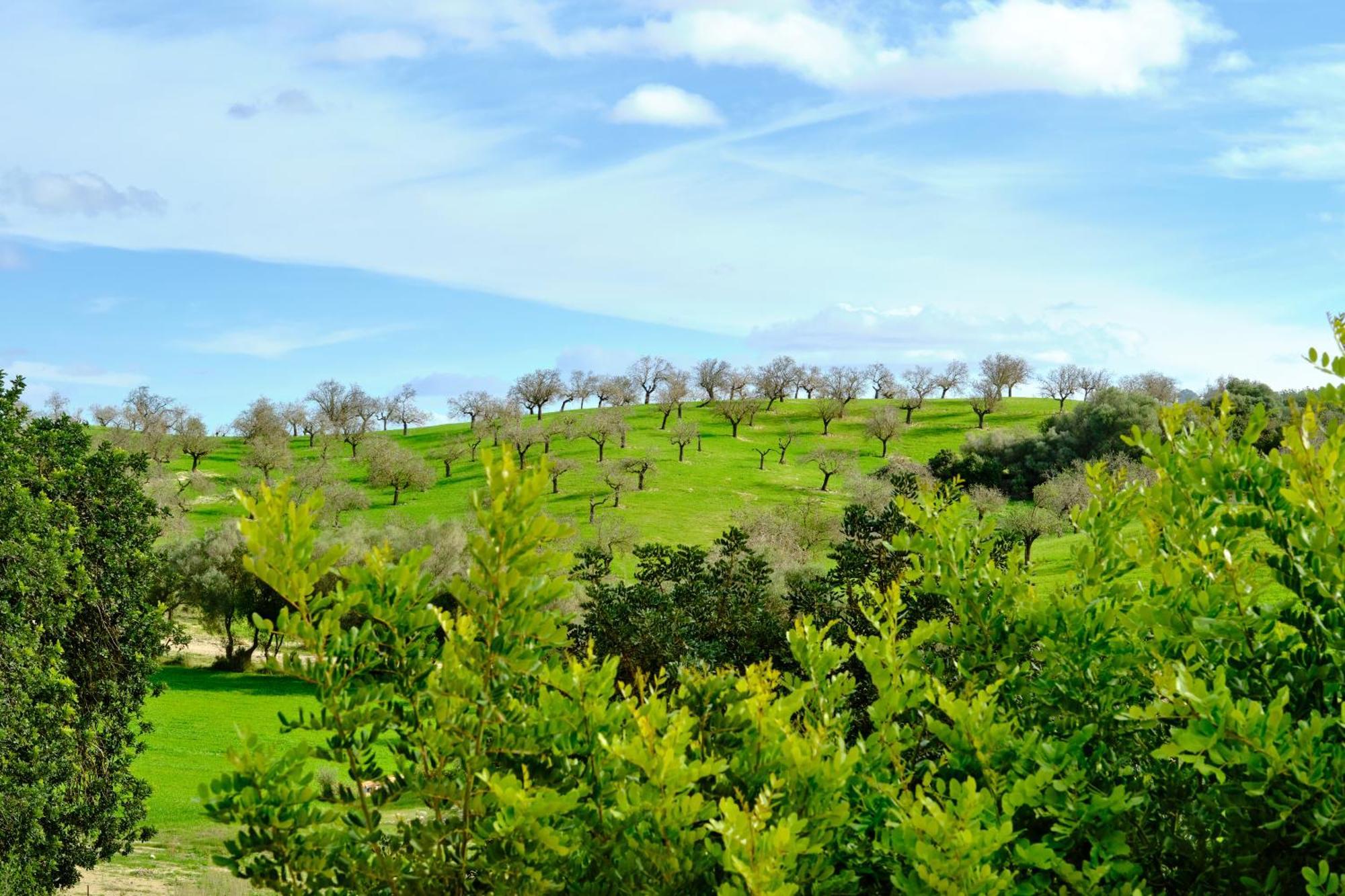Finca Sa Bastida Luxury Retreat & Spa Adults Only Sant Joan Экстерьер фото